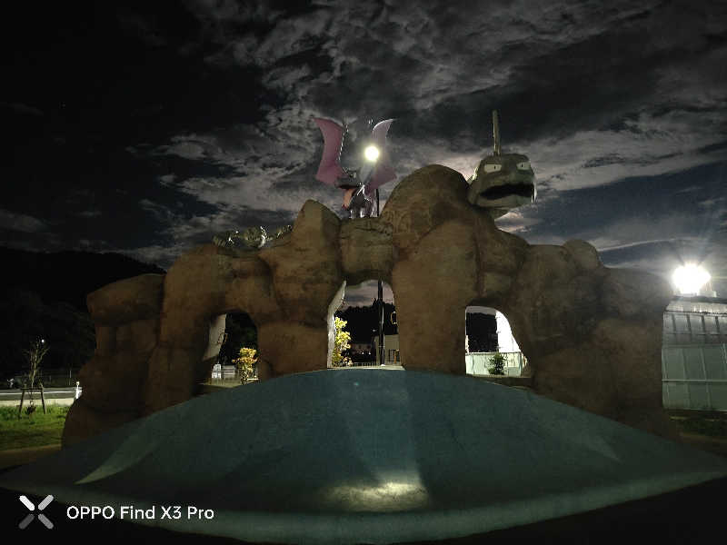 ダビデ象🐘さんのおおの健康の湯のサ活写真