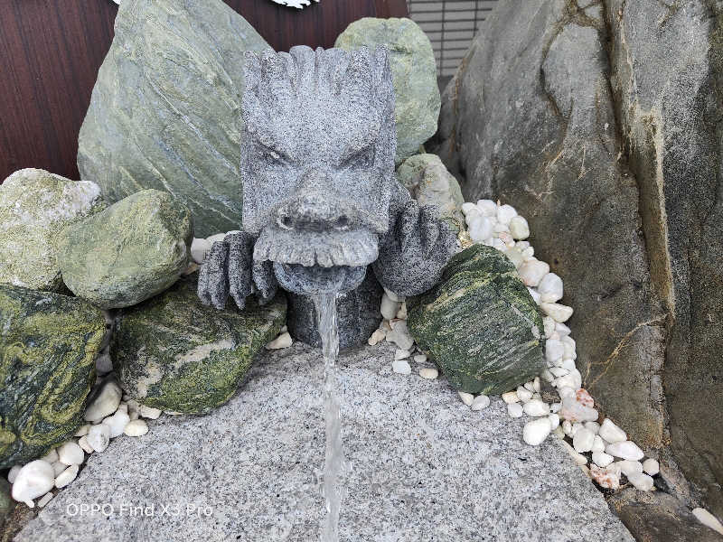 ダビデ象🐘さんの長寿温泉のサ活写真