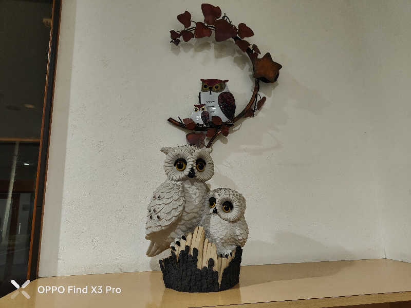 ダビデ象🐘さんのふくろうの湯のサ活写真