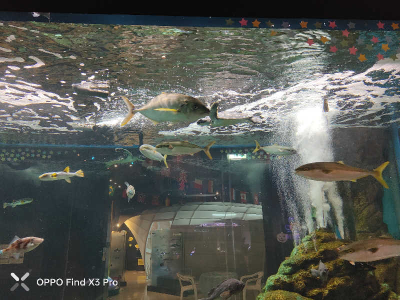 ダビデ象🐘さんのふくろうの湯のサ活写真