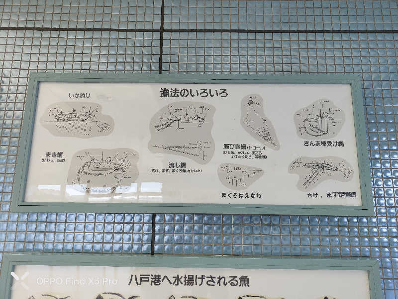 ダビデ象🐘さんのふくろうの湯のサ活写真