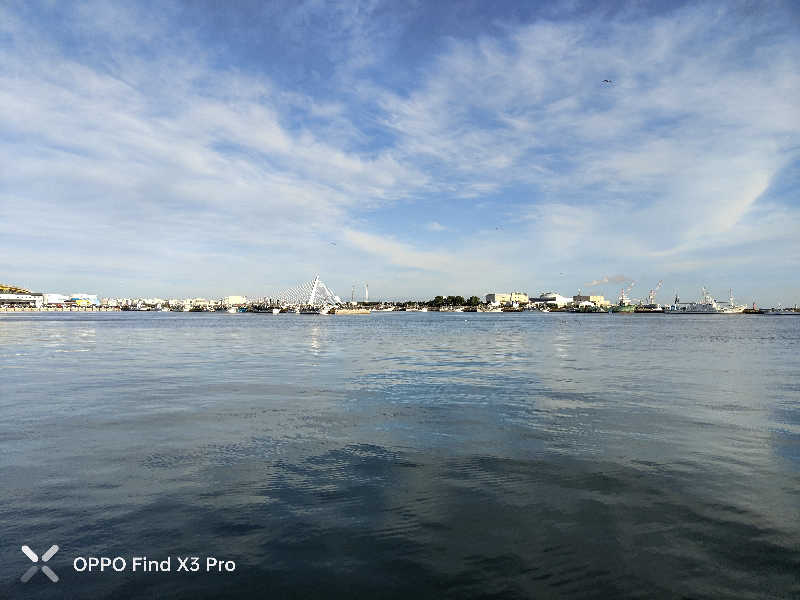 ダビデ象🐘さんのふくろうの湯のサ活写真