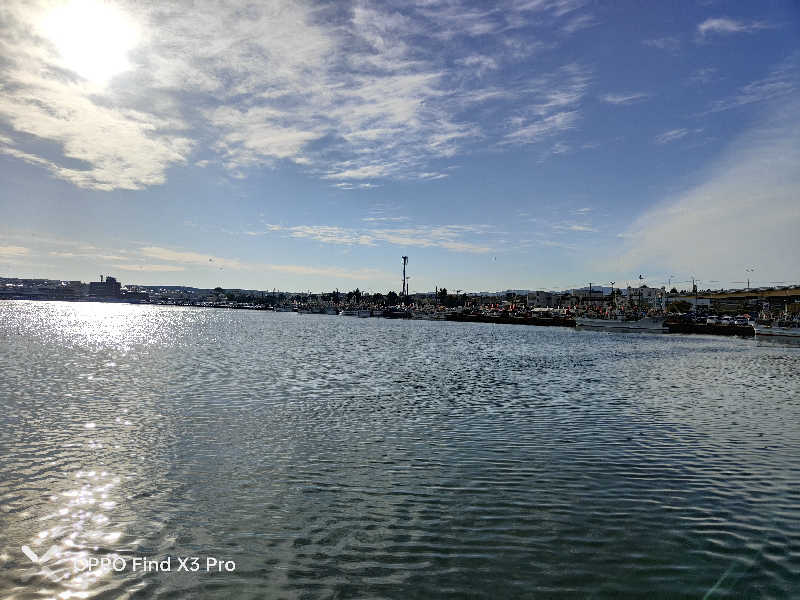 ダビデ象🐘さんのふくろうの湯のサ活写真
