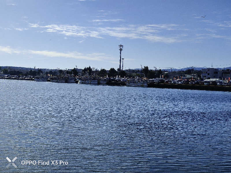ダビデ象🐘さんのふくろうの湯のサ活写真