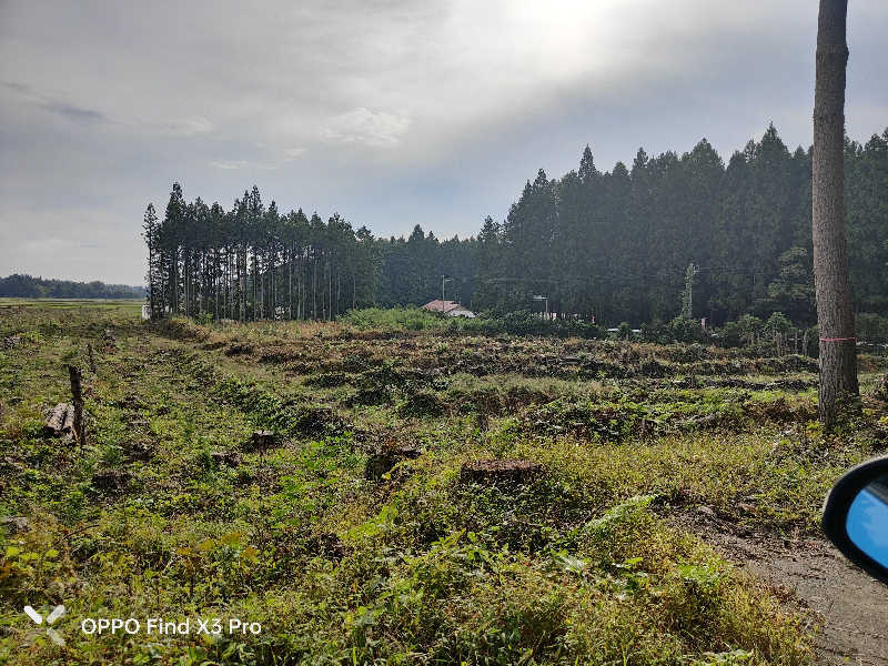 ダビデ象🐘さんの天間林温泉のサ活写真
