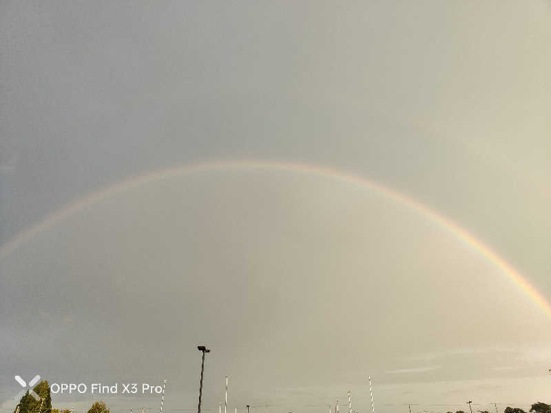 ダビデ象🐘さんの六ヶ所村老人福祉センターのサ活写真