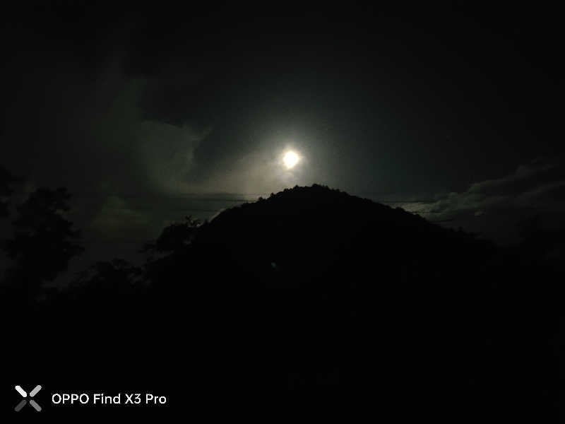 ダビデ象🐘さんの六ヶ所村老人福祉センターのサ活写真