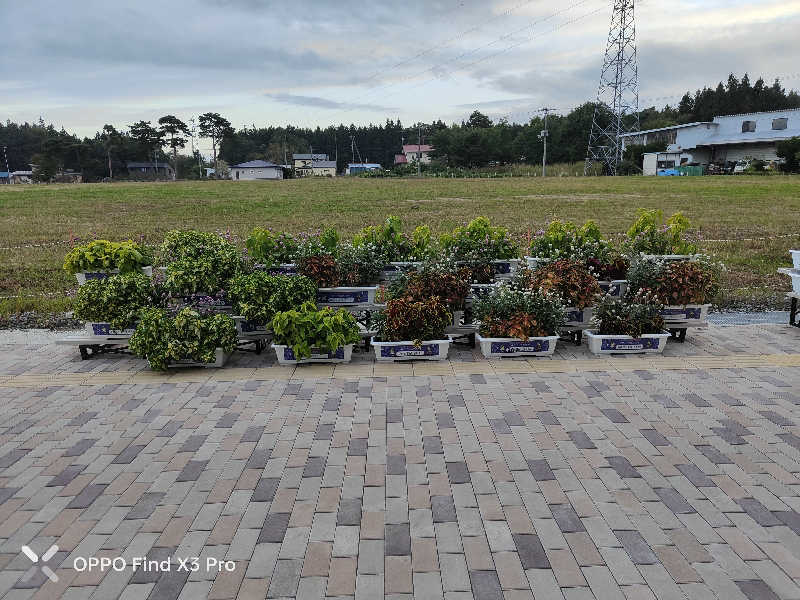 ダビデ象🐘さんのさかた温泉のサ活写真