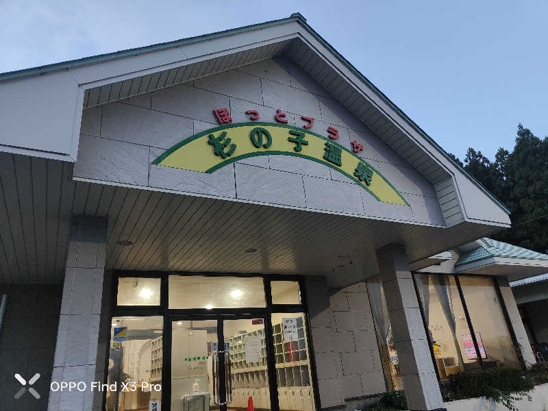 ダビデ象🐘さんのほっとプラザ 杉の子温泉のサ活写真