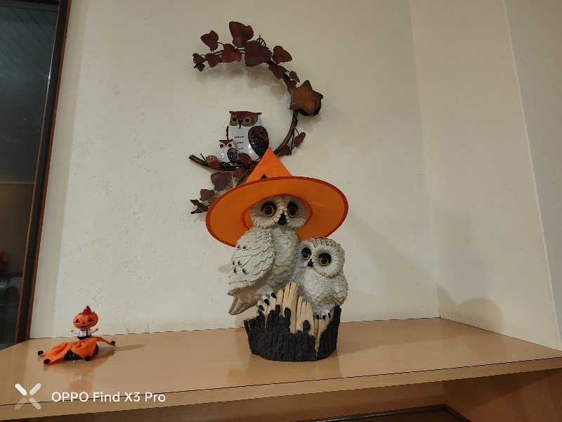 ダビデ象🐘さんのふくろうの湯のサ活写真