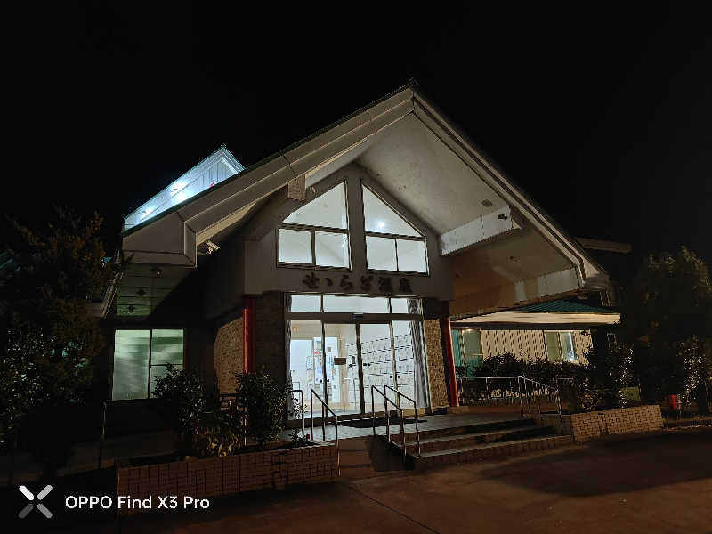 ダビデ象🐘さんのせせらぎ温泉のサ活写真