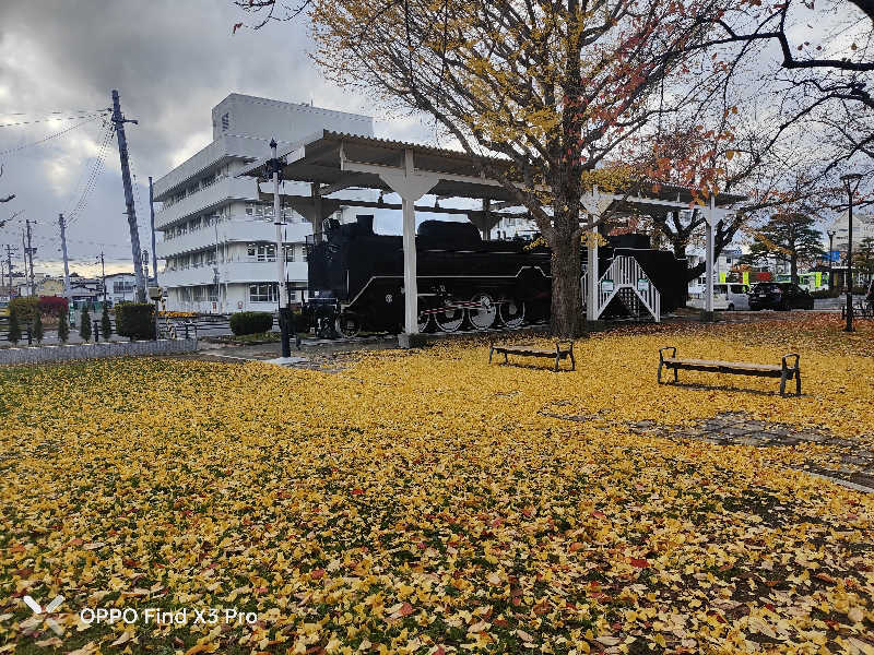 ダビデ象🐘さんの天然温泉まつのゆのサ活写真