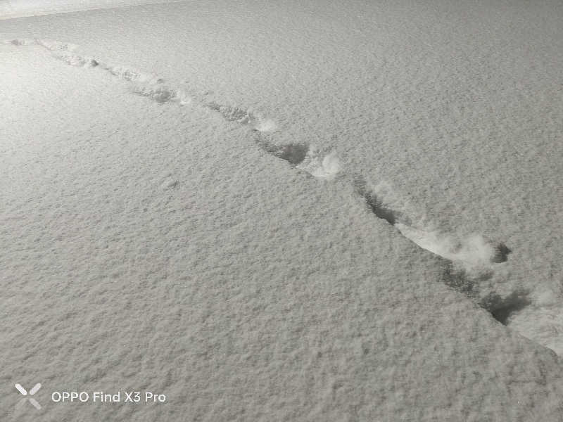 ダビデ象🐘さんの天間林温泉のサ活写真