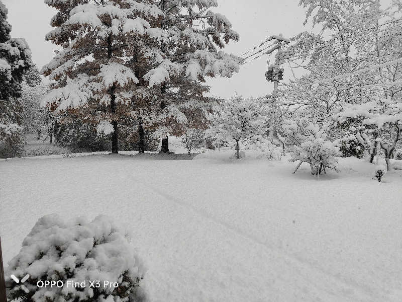 ダビデ象🐘さんの天間林温泉のサ活写真
