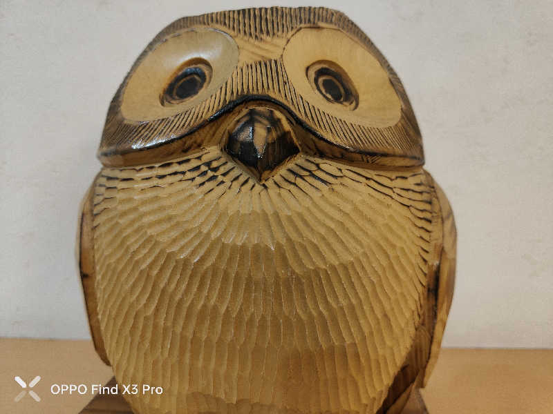 ダビデ象🐘さんのふくろうの湯のサ活写真