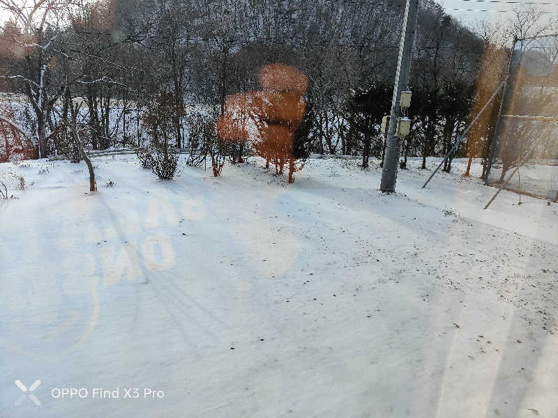 ダビデ象🐘さんの天間林温泉のサ活写真