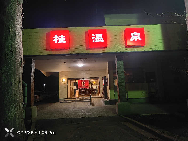 ダビデ象🐘さんの桂温泉のサ活写真