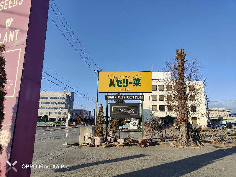 ダビデ象🐘さんのアクアセラピ温泉 森ランドのサ活写真