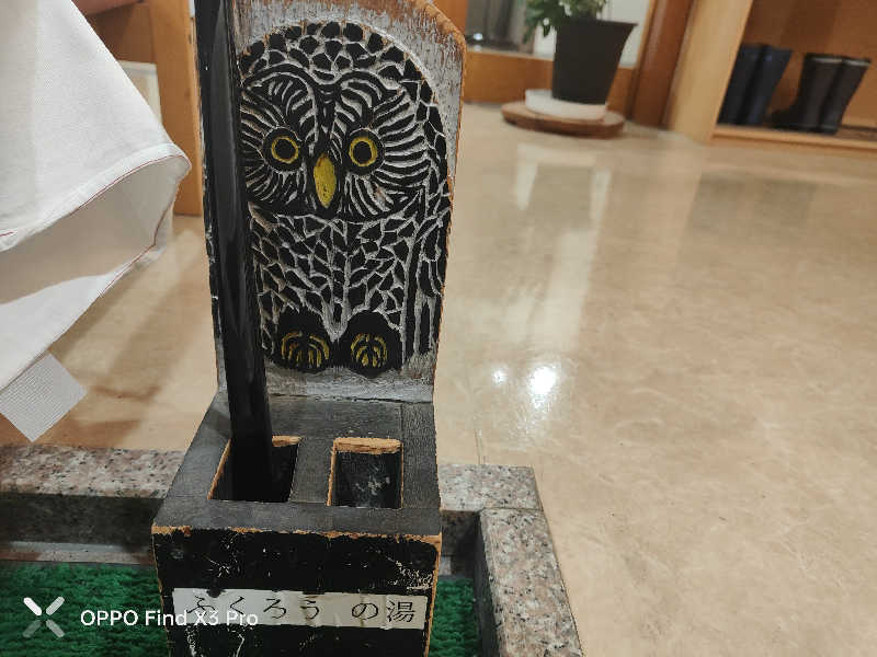 ダビデ象🐘さんのふくろうの湯のサ活写真