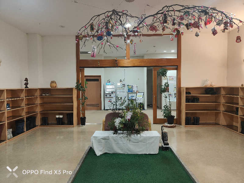 ダビデ象🐘さんのふくろうの湯のサ活写真