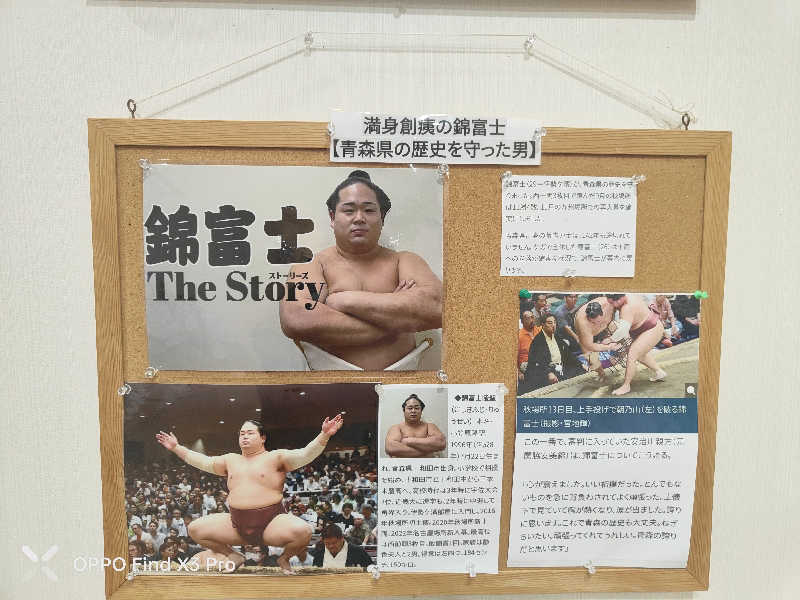 ダビデ象🐘さんのふくろうの湯のサ活写真