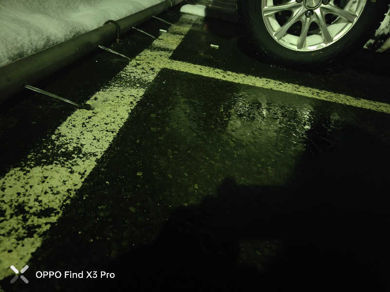 ダビデ象🐘さんのふくろうの湯のサ活写真