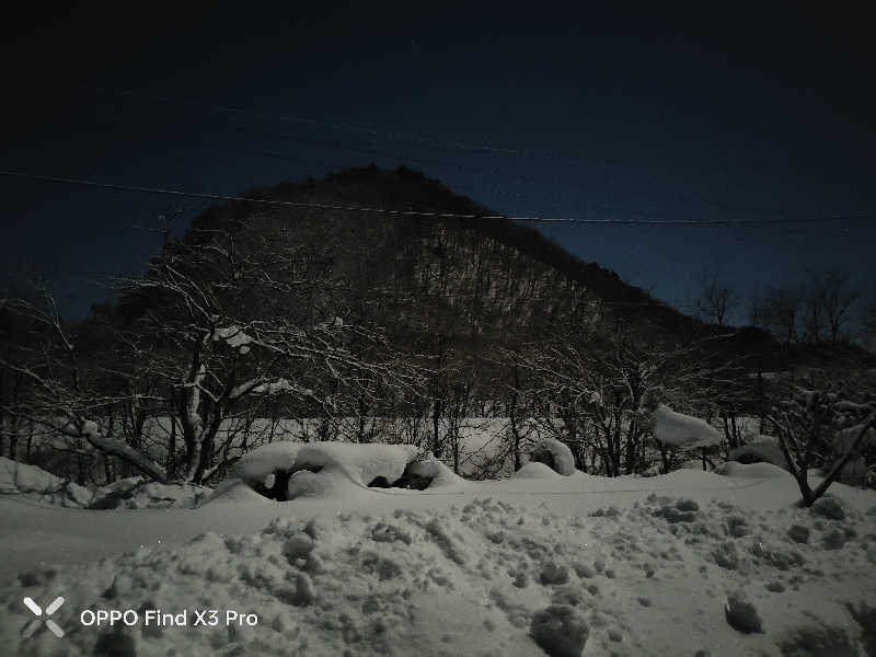 ダビデ象🐘さんのせせらぎ温泉のサ活写真