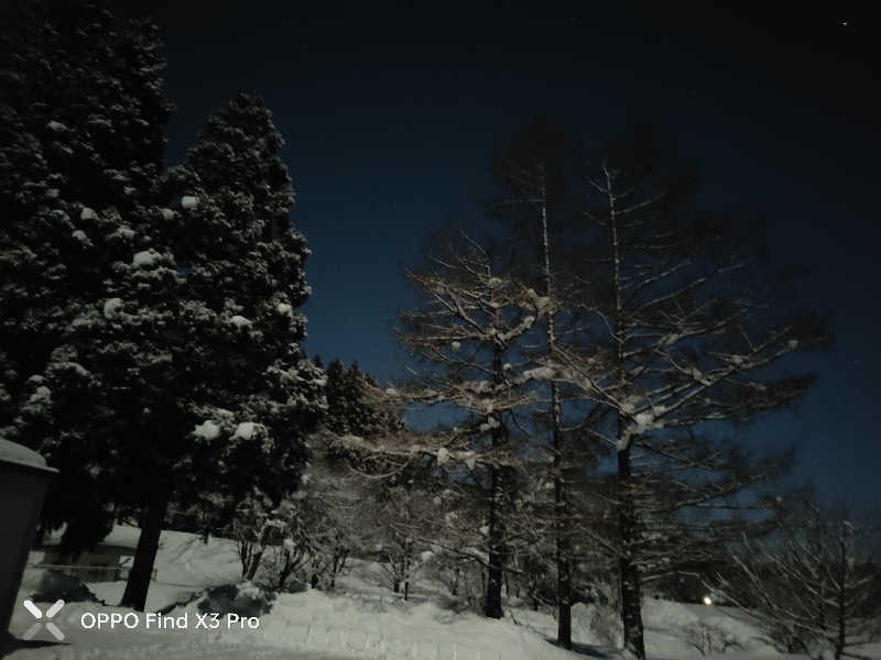 ダビデ象🐘さんのせせらぎ温泉のサ活写真