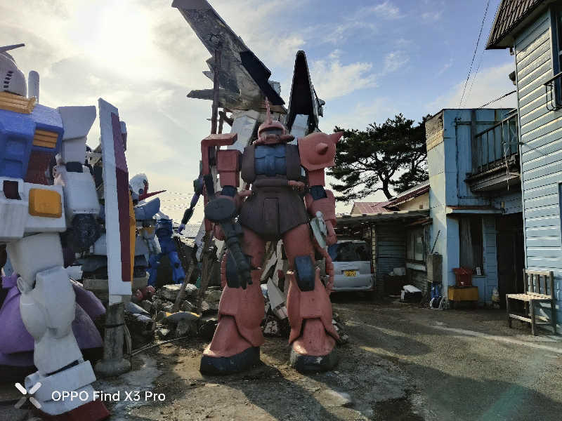 ダビデ象🐘さんの天然温泉まつのゆのサ活写真