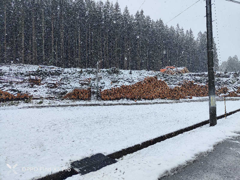 ダビデ象🐘さんのふくろうの湯のサ活写真