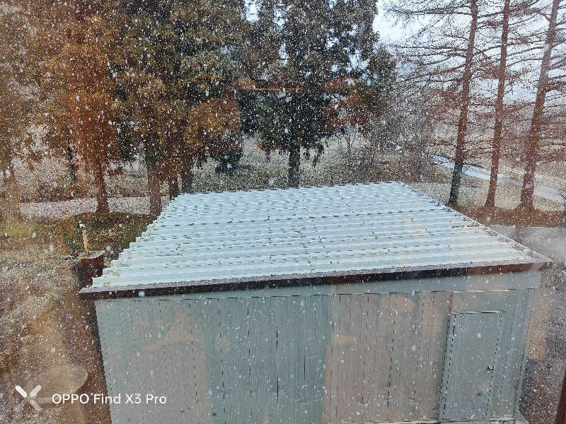 ダビデ象🐘さんのふくろうの湯のサ活写真