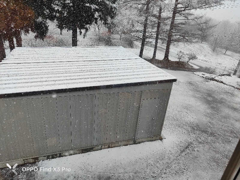 ダビデ象🐘さんのふくろうの湯のサ活写真