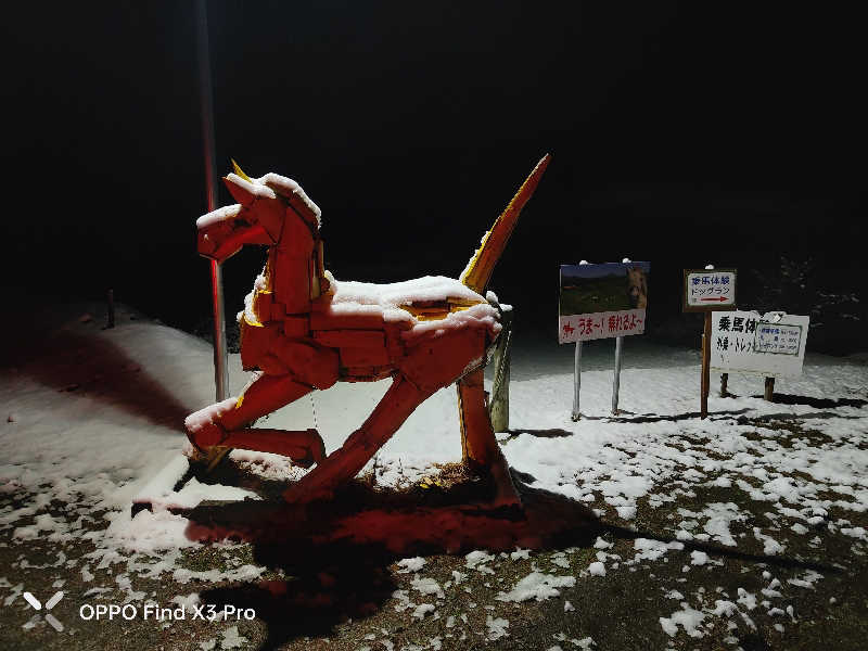 ダビデ象🐘さんのふくろうの湯のサ活写真