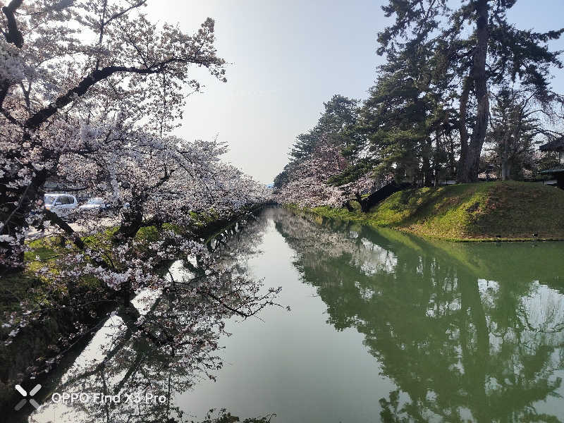 ダビデ象🐘さんのアソベの森 いわき荘のサ活写真