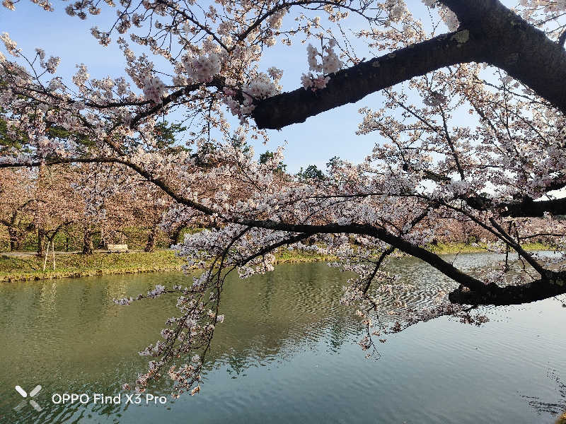 ダビデ象🐘さんのアソベの森 いわき荘のサ活写真