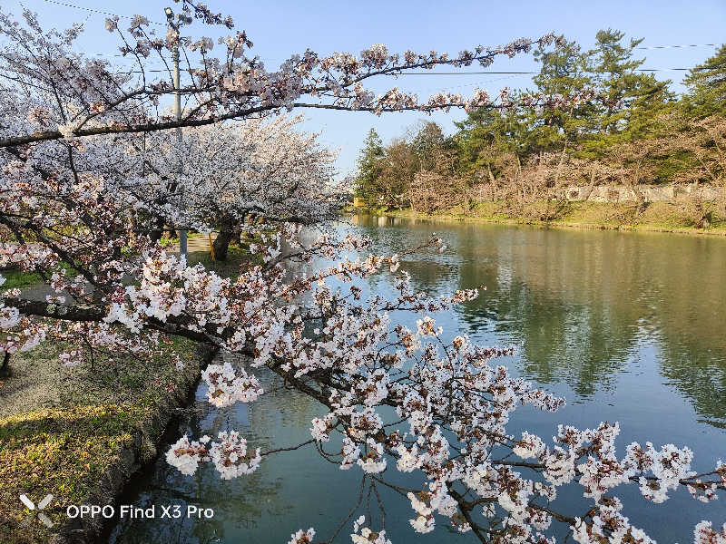 ダビデ象🐘さんのアソベの森 いわき荘のサ活写真