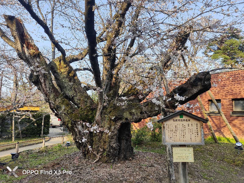 ダビデ象🐘さんのアソベの森 いわき荘のサ活写真