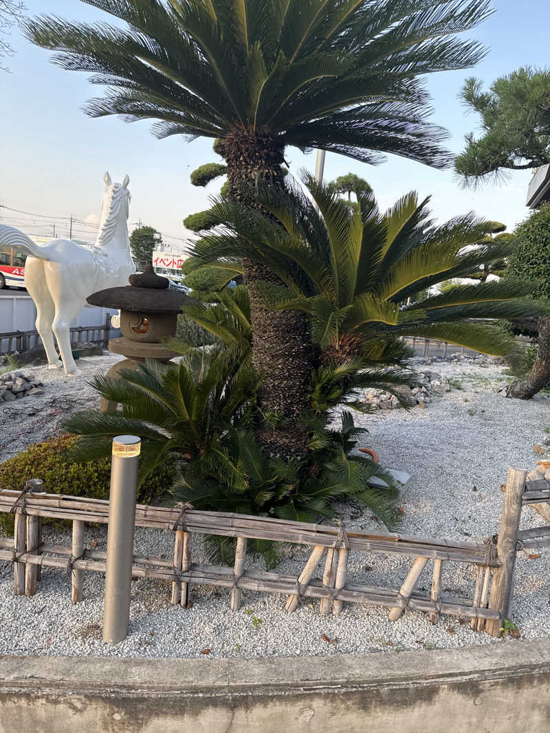 あいてふさんのかすかべ湯元温泉のサ活写真