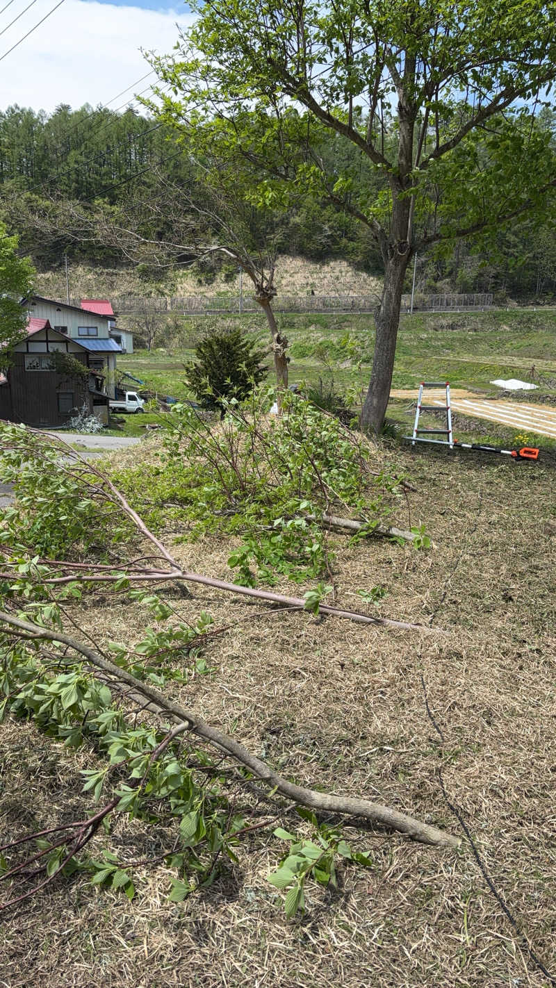 サイケさんのSBCリゾート木島平(旧 パノラマランド木島平)のサ活写真