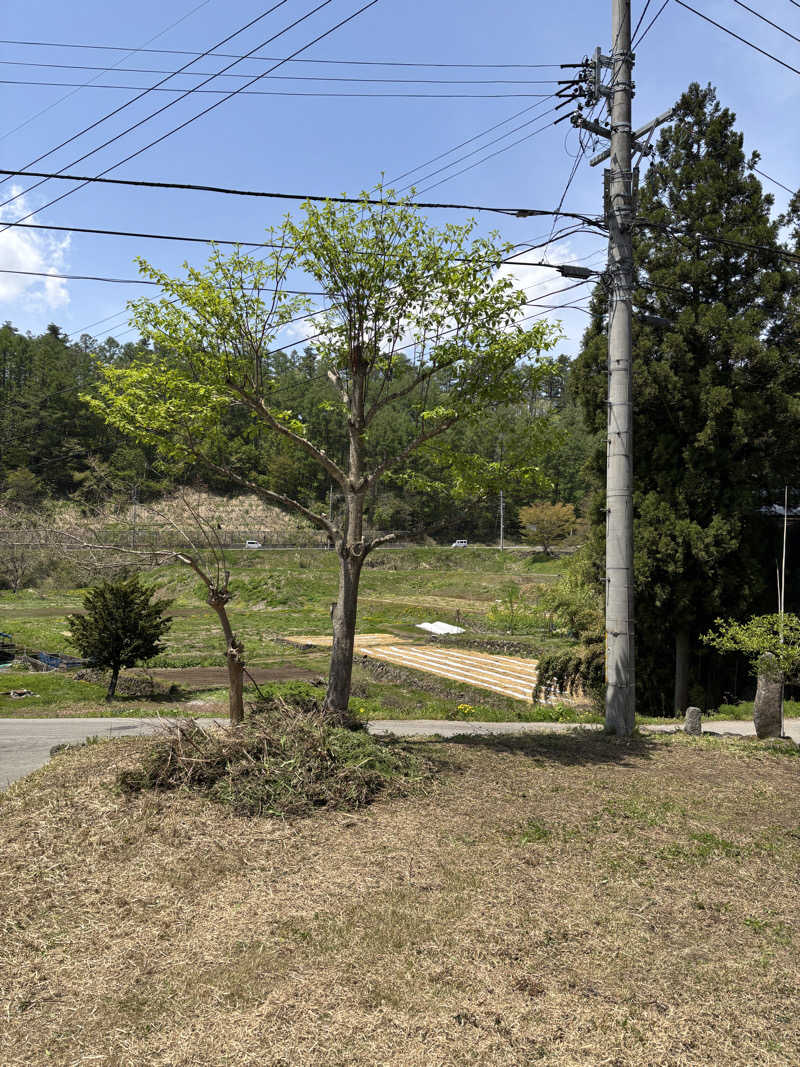サイケさんのSBCリゾート木島平(旧 パノラマランド木島平)のサ活写真