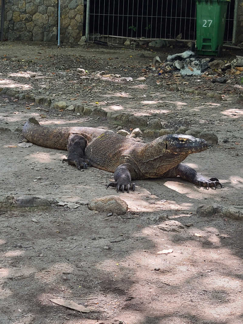 サウナビトさんのサウナしきじのサ活写真