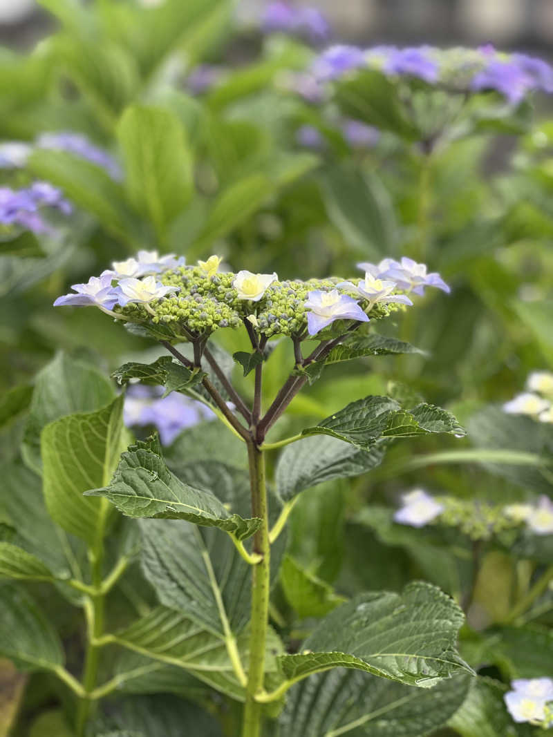 サウナビトさんのスポーツクラブ&サウナスパ ルネサンス 宮崎24のサ活写真