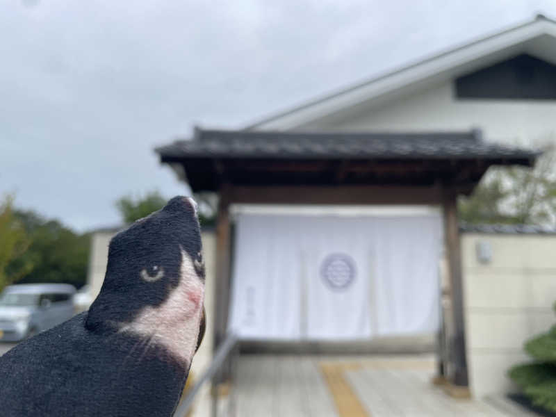 サウナの頃さんのSAUNA RESORT 天光の湯のサ活写真