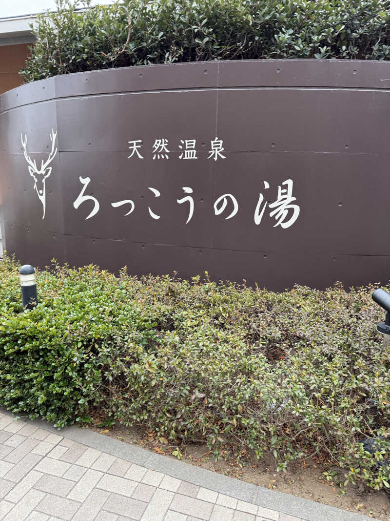ぶいまさんの天然温泉ろっこうの湯のサ活写真