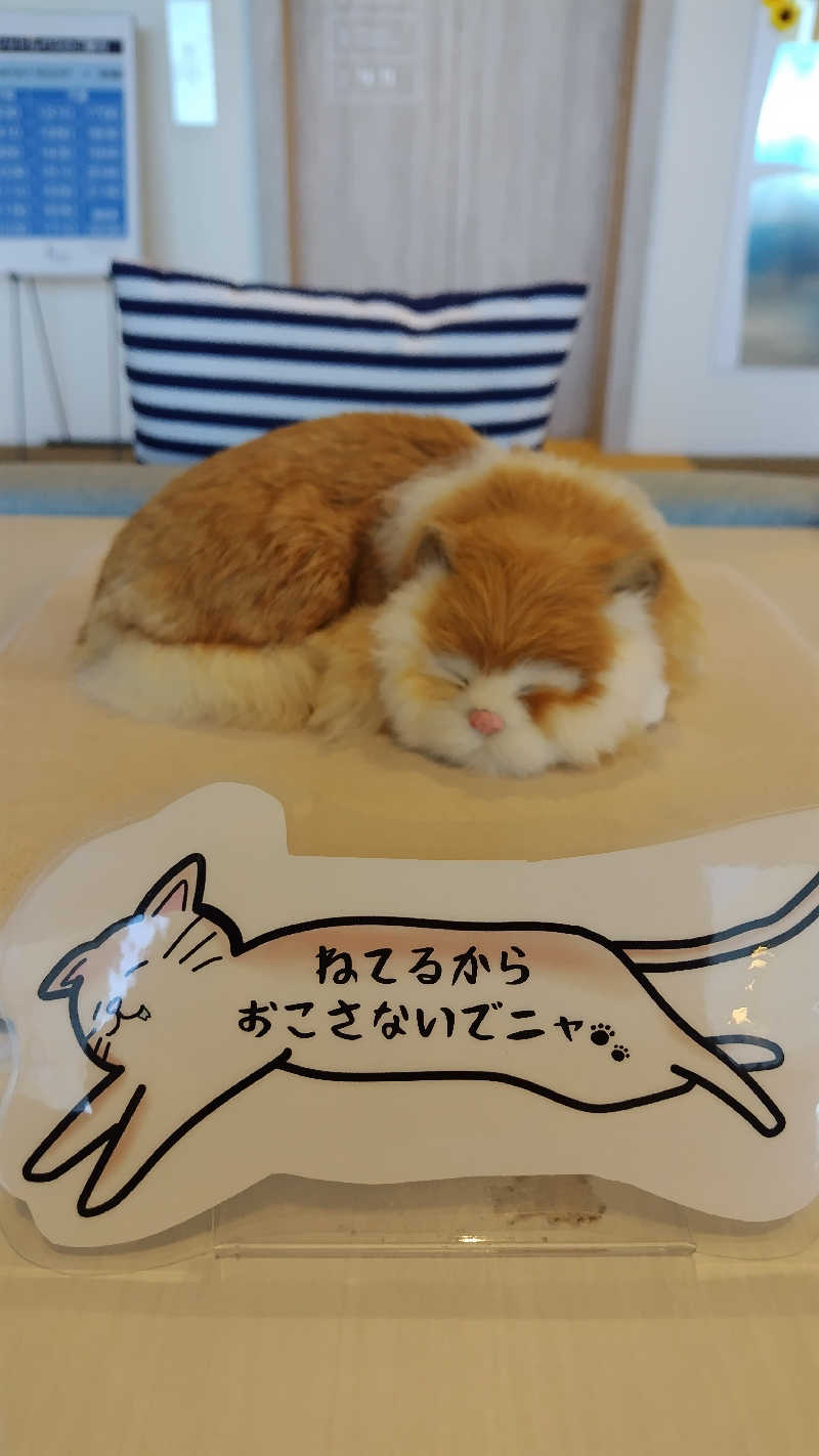 高桥猛者一诚さんのオーシャンスパ Fuuaのサ活写真