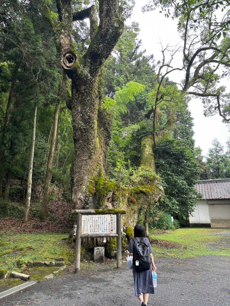 はむさんさんの畑冷泉館のサ活写真