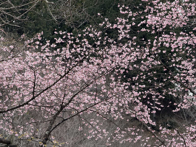 RRRさんのFLOBA(フローバ)のサ活写真