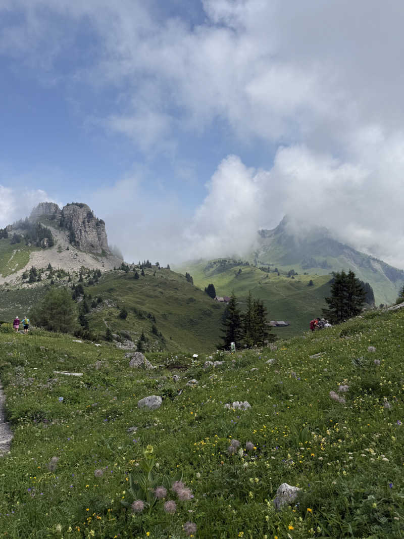 RRRさんのBERGWELT GRINDELWALD | ALPINE DESIGN RESORTのサ活写真