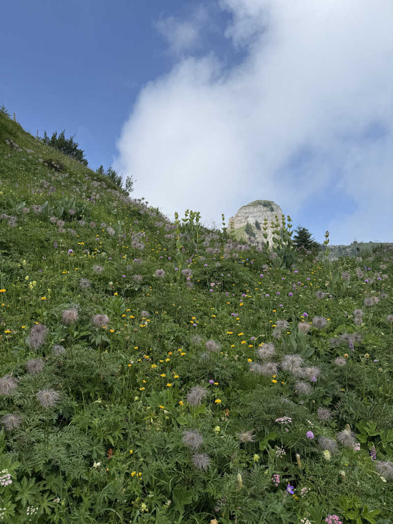 RRRさんのBERGWELT GRINDELWALD | ALPINE DESIGN RESORTのサ活写真