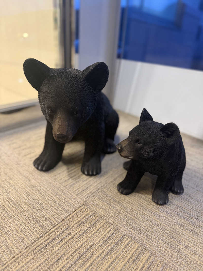 RRRさんの知床ノーブルホテルのサ活写真